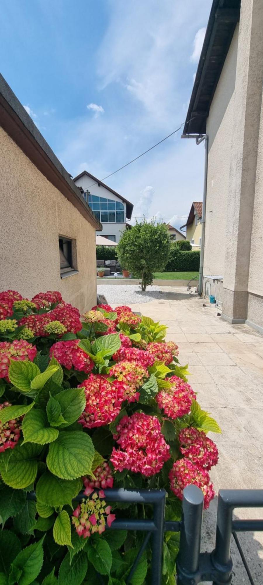 リュブリャナ Privat House Lena With Garden&Free Parkingヴィラ エクステリア 写真